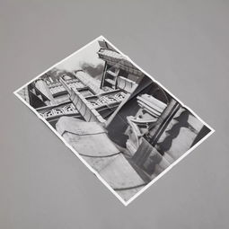 AGI新星闪耀南半球 2019年澳大利亚新晋会员平面设计师风采